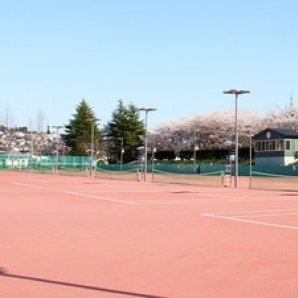 新井田公園　テニスコート